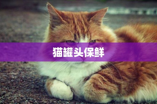 猫罐头保鲜